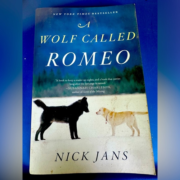 “A Wolf Called Romeo” Hardcover Nick Jans Wildlife Meets Humans EcoConservation - Picture 1 of 6